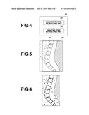 BODY MOTION DETECTION DEVICE AND METHOD diagram and image