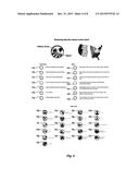 SYSTEMS, METHODS, AND COMPUTER-READABLE MEDIA FOR GENERATING AND     DISPLAYING VISUAL IMAGES diagram and image