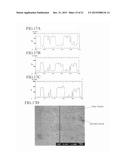 IRON-BASED SOFT MAGNETIC MATERIAL AND IRON-BASED SOFT MAGNETIC CORE diagram and image