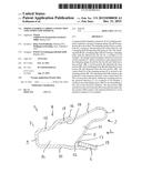 SPRING-LOADED CLAMPING CONNECTION AND CONDUCTOR TERMINAL diagram and image