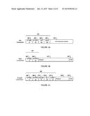 HYBRID CAM ASSISTED DEFLATE DECOMPRESSION ACCELERATOR diagram and image