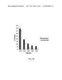 PHOTODEGRADABLE, BIOCOMPATIBLE AND EFFICIENT NANO-ENCAPSULATED FORMULATION diagram and image