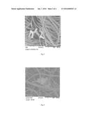 NONWOVEN ARTICLES COMPRISING ABRASIVE PARTICLES diagram and image