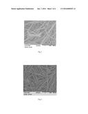 NONWOVEN ARTICLES COMPRISING ABRASIVE PARTICLES diagram and image