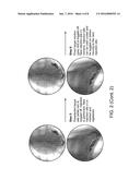 TARGET SITE SELECTION, ENTRY AND UPDATE WITH AUTOMATIC REMOTE IMAGE     ANNOTATION diagram and image