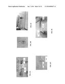 DERMAL MICRO-ORGANS, METHODS AND APPARATUSES FOR PRODUCING AND USING THE     SAME diagram and image
