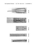 DERMAL MICRO-ORGANS, METHODS AND APPARATUSES FOR PRODUCING AND USING THE     SAME diagram and image