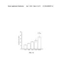 THIN FILM VASCULAR STENT FOR ARTERIAL DISEASE diagram and image