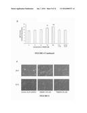 METHOD FOR TREATING FIBROSIS AND CANCER WITH IMIDAZOLIUM AND IMIDAZOLINIUM     COMPOUNDS diagram and image