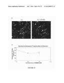 METHOD FOR TREATING FIBROSIS AND CANCER WITH IMIDAZOLIUM AND IMIDAZOLINIUM     COMPOUNDS diagram and image