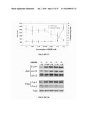 METHOD FOR TREATING FIBROSIS AND CANCER WITH IMIDAZOLIUM AND IMIDAZOLINIUM     COMPOUNDS diagram and image