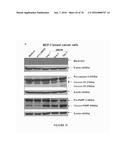 METHOD FOR TREATING FIBROSIS AND CANCER WITH IMIDAZOLIUM AND IMIDAZOLINIUM     COMPOUNDS diagram and image