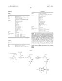 NEW SPIRO[3H-INDOLE-3,2 -PYRROLIDIN]-2(1H)-ONE COMPOUNDS AND DERIVATIVES     AS MDM2-P53 INHIBITORS diagram and image