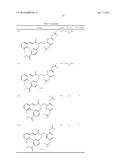 NEW SPIRO[3H-INDOLE-3,2 -PYRROLIDIN]-2(1H)-ONE COMPOUNDS AND DERIVATIVES     AS MDM2-P53 INHIBITORS diagram and image