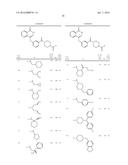 PHTHALAZINONE DERIVATIVES diagram and image