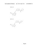 INHIBITORS OF CDK8/19 FOR USE IN TREATING ESTROGEN RECEPTOR POSITIVE     BREAST CANCER diagram and image