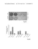 INHIBITORS OF CDK8/19 FOR USE IN TREATING ESTROGEN RECEPTOR POSITIVE     BREAST CANCER diagram and image