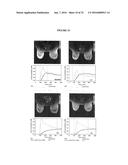 TARGETED TREATMENT OF ANEROBIC CANCER diagram and image