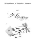 TARGETED TREATMENT OF ANEROBIC CANCER diagram and image