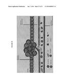 TARGETED TREATMENT OF ANEROBIC CANCER diagram and image