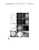 Metal Oxide Mesocrystal, and Method for Producing Same diagram and image