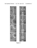 MAGNETIC ASSEMBLY OF SOFT ROBOTS WITH HARD COMPONENTS diagram and image