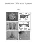 MAGNETIC ASSEMBLY OF SOFT ROBOTS WITH HARD COMPONENTS diagram and image