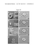 MAGNETIC ASSEMBLY OF SOFT ROBOTS WITH HARD COMPONENTS diagram and image