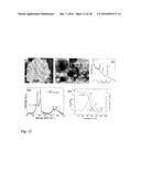 SYNTHESIS OF EFFECTIVE CARBON NANOREINFORCEMENTS FOR STRUCTURAL     APPLICATIONS diagram and image