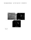 SYNTHESIS OF EFFECTIVE CARBON NANOREINFORCEMENTS FOR STRUCTURAL     APPLICATIONS diagram and image