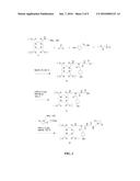 METHODS AND COMPOSITIONS FOR RADIOHALOGEN PROTEIN LABELING diagram and image