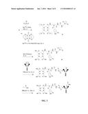 METHODS AND COMPOSITIONS FOR RADIOHALOGEN PROTEIN LABELING diagram and image