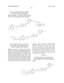 GLS1 INHIBITORS FOR TREATING DISEASE diagram and image