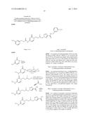 GLS1 INHIBITORS FOR TREATING DISEASE diagram and image