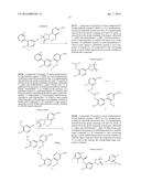 SUBSTITUTED 2-AMINOPYRIDINE PROTEIN KINASE INHIBITOR diagram and image