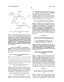 SUBSTITUTED 2-AMINOPYRIDINE PROTEIN KINASE INHIBITOR diagram and image