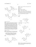 CAP/ENDO DUAL INHIBITORS AND THEIR USE IN THE TREATMENT, AMELIORATION OR     PREVENTION OF A VIRAL DISEASE diagram and image