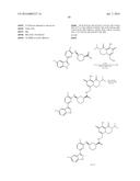 CAP/ENDO DUAL INHIBITORS AND THEIR USE IN THE TREATMENT, AMELIORATION OR     PREVENTION OF A VIRAL DISEASE diagram and image