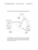 THIENO[3,2-D]PYRIMIDINE-6-CARBOXAMIDES AND ANALOGUES AS SIRTUIN MODULATORS diagram and image