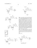 D-AMINO ACID COMPOUNDS FOR LIVER DISEASE diagram and image