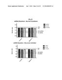 METHODS FOR THE TREATMENT OF MITOCHONDRIAL DISEASE diagram and image