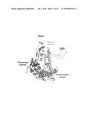 METHODS FOR THE TREATMENT OF MITOCHONDRIAL DISEASE diagram and image