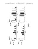 Bispecific CD33 and CD3 Binding Proteins diagram and image