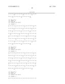 Bispecific CD33 and CD3 Binding Proteins diagram and image