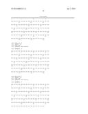 Bispecific CD33 and CD3 Binding Proteins diagram and image