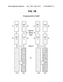 BISPECIFIC HETERODIMERIC DIABODIES AND USES THEREOF diagram and image