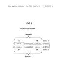 BISPECIFIC HETERODIMERIC DIABODIES AND USES THEREOF diagram and image