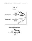 BISPECIFIC HETERODIMERIC DIABODIES AND USES THEREOF diagram and image