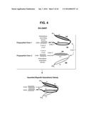 BISPECIFIC HETERODIMERIC DIABODIES AND USES THEREOF diagram and image