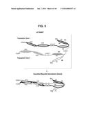 BISPECIFIC HETERODIMERIC DIABODIES AND USES THEREOF diagram and image